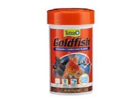 Tetra Goldfish