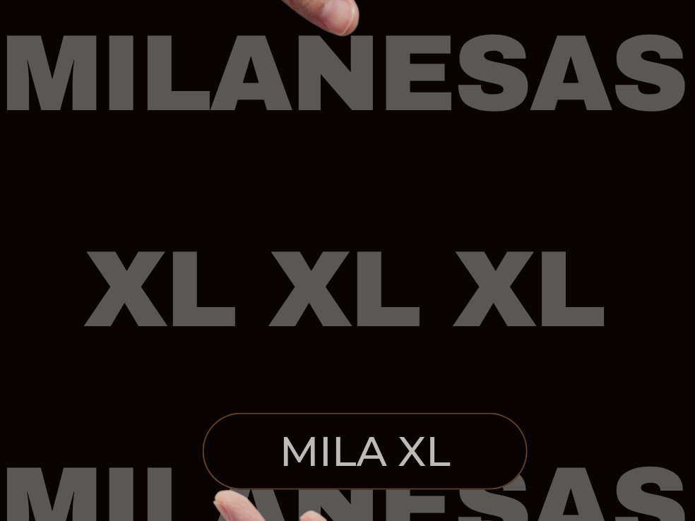 MILA  XL 2 SABORES con guarnición