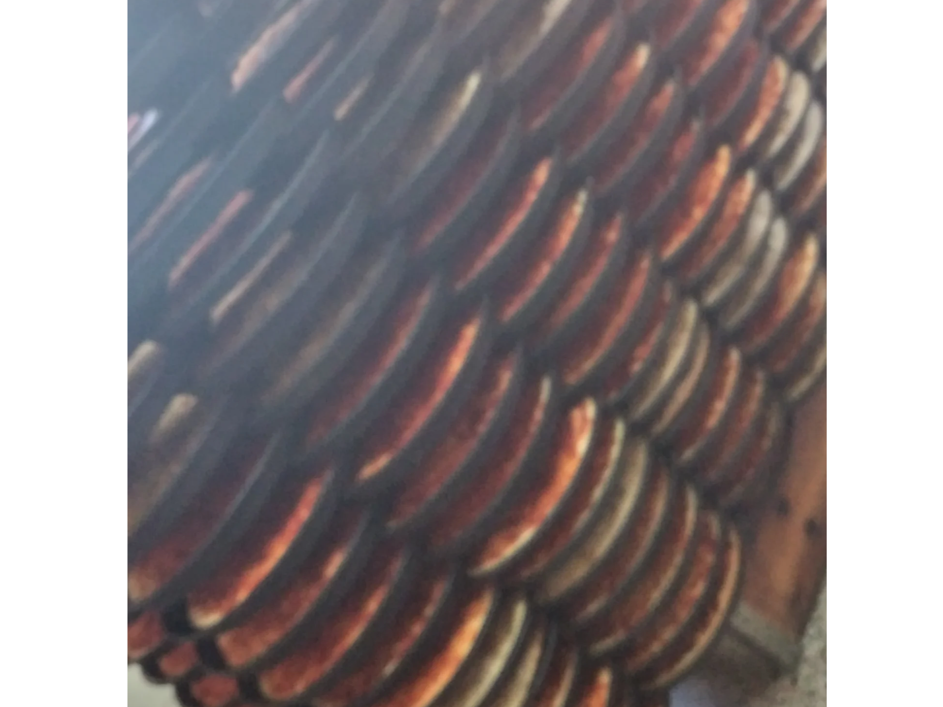 PREPIZZAS ARTESANALES X 2u.