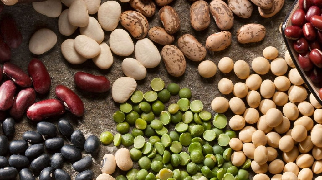 LEGUMBRES, TEXTURIZADOS Y ARROZ