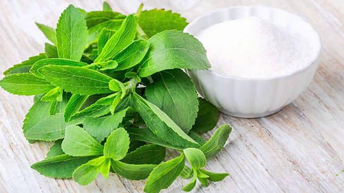 EDULCORANTES, STEVIA