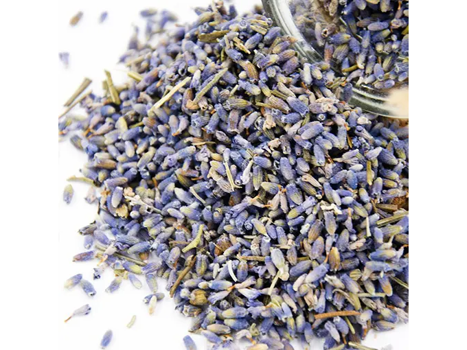 Lavanda en Flor