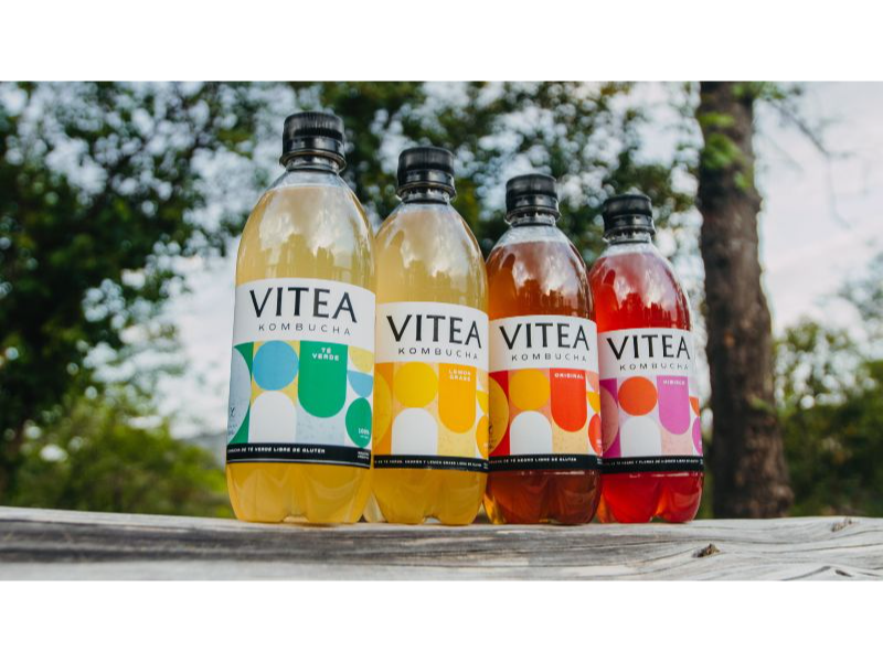 Kombucha Vitea 500ml  varios sabores