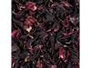 Hibiscus en flor