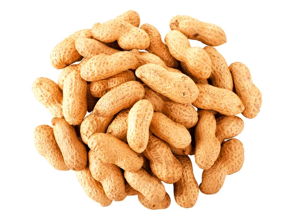 Maní Vaina con cascara