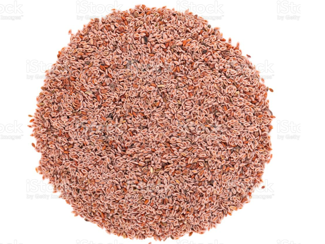 Psyllium