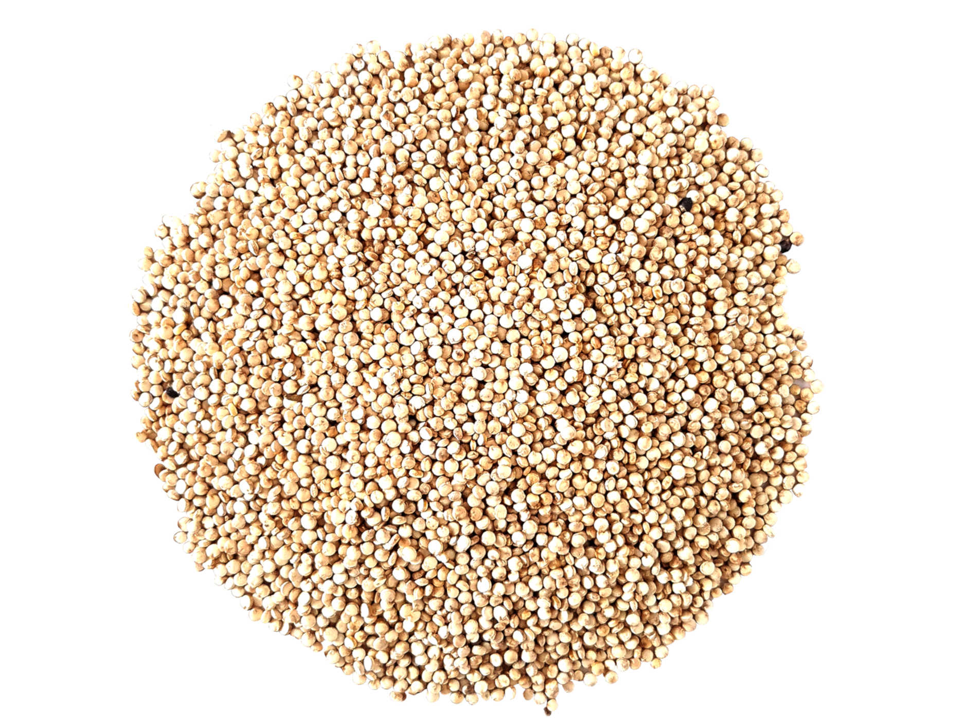 Quinoa Nacional