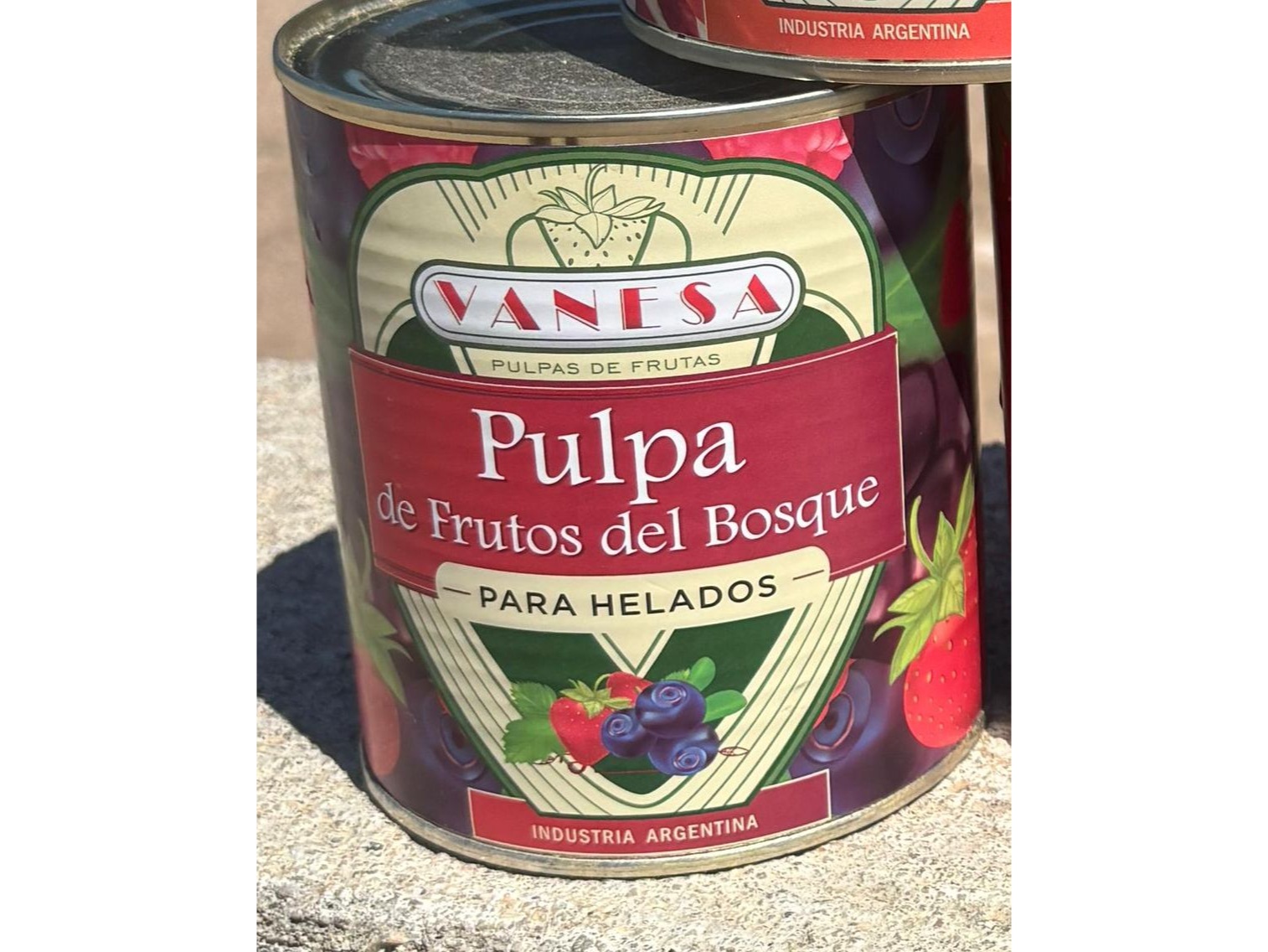 Pulpa de frutos del bosque  Vanesa para helados  x940gr