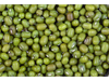 Porotos mung xKg