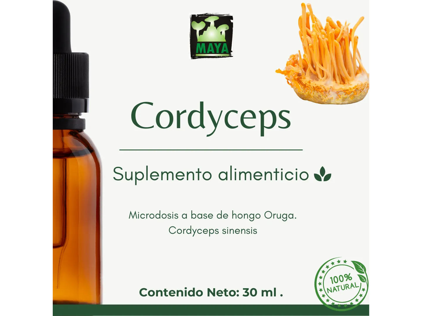 Cordyceps x30ml en gotas