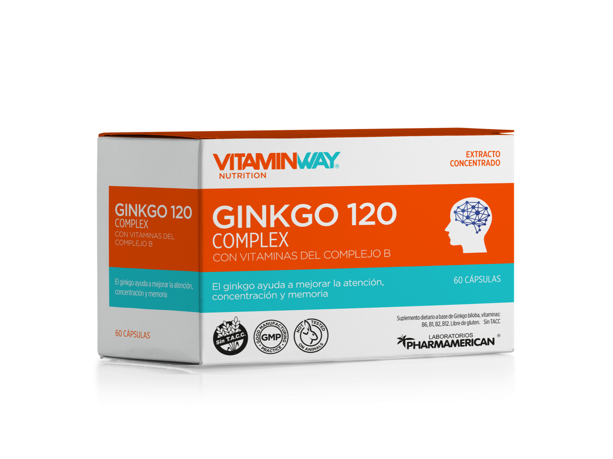 Ginko 120 complex x60 capsulas