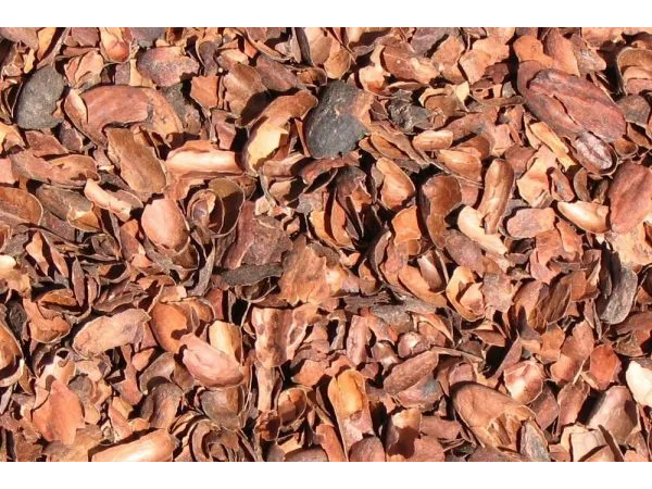Cascarilla de cacao