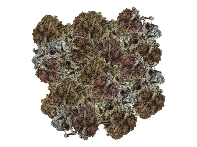 Alcachofa