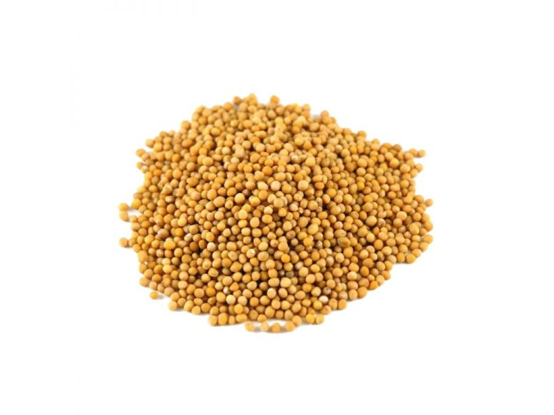 Semilla de Mostaza Amarilla