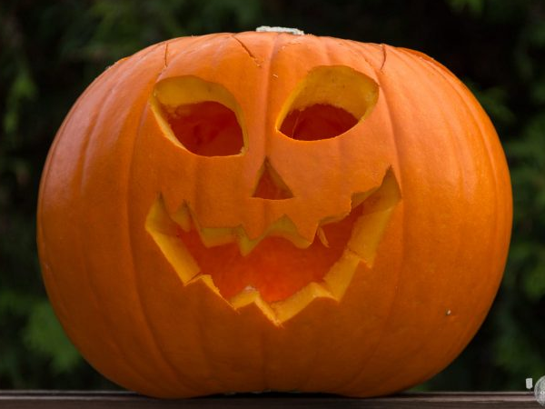 Pumpkin