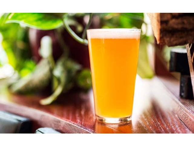 HAZE Lager