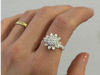 Anillo AB1