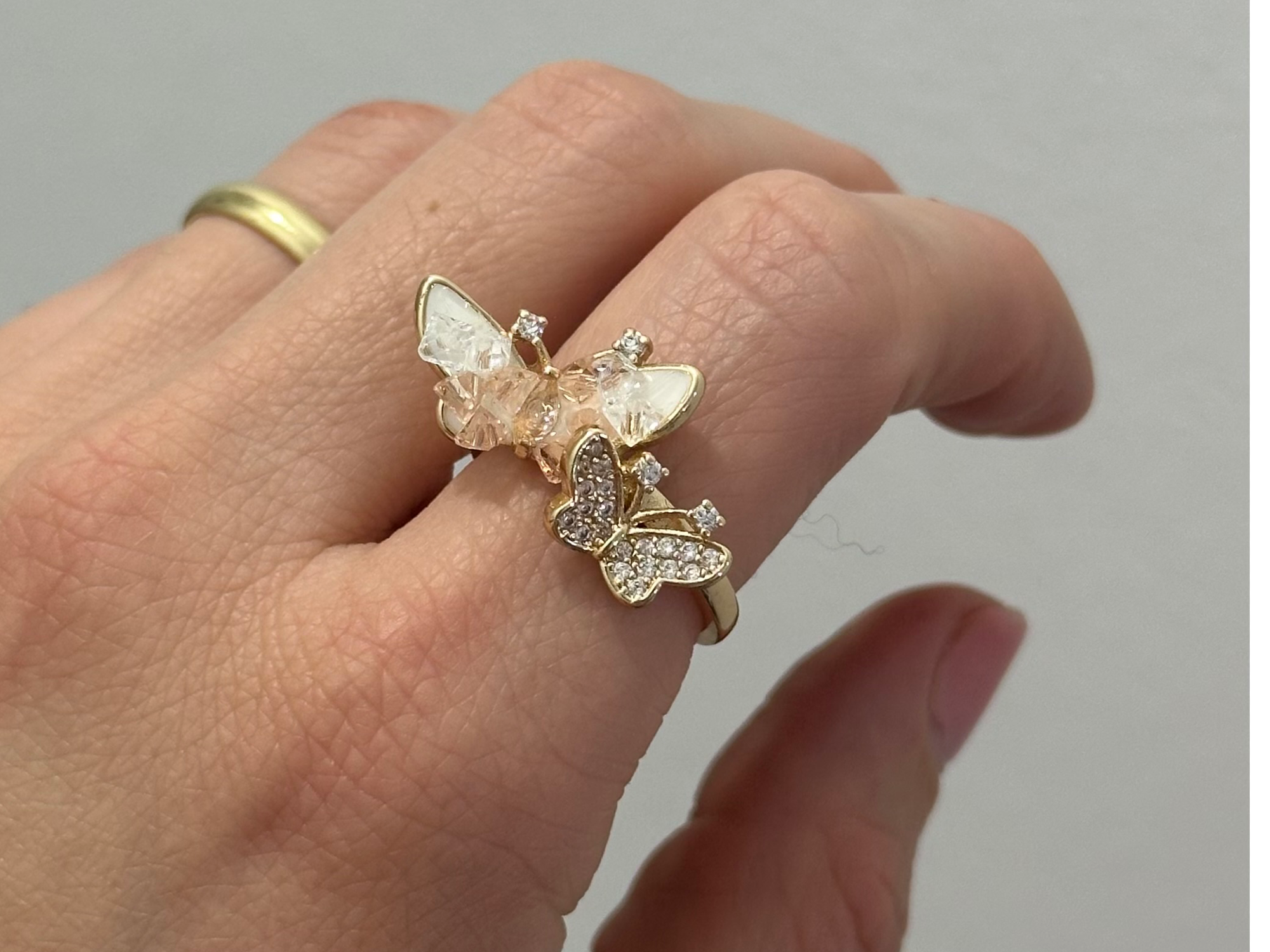 Anillo AD2