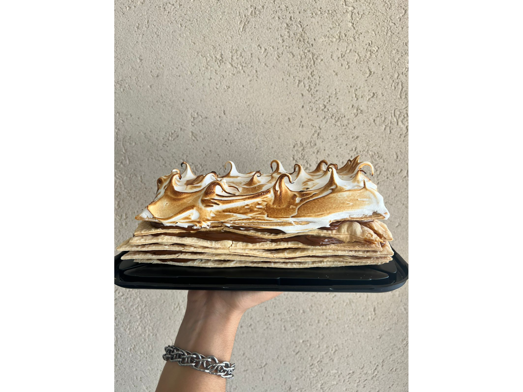Rogel mediano de Delicias MerMer