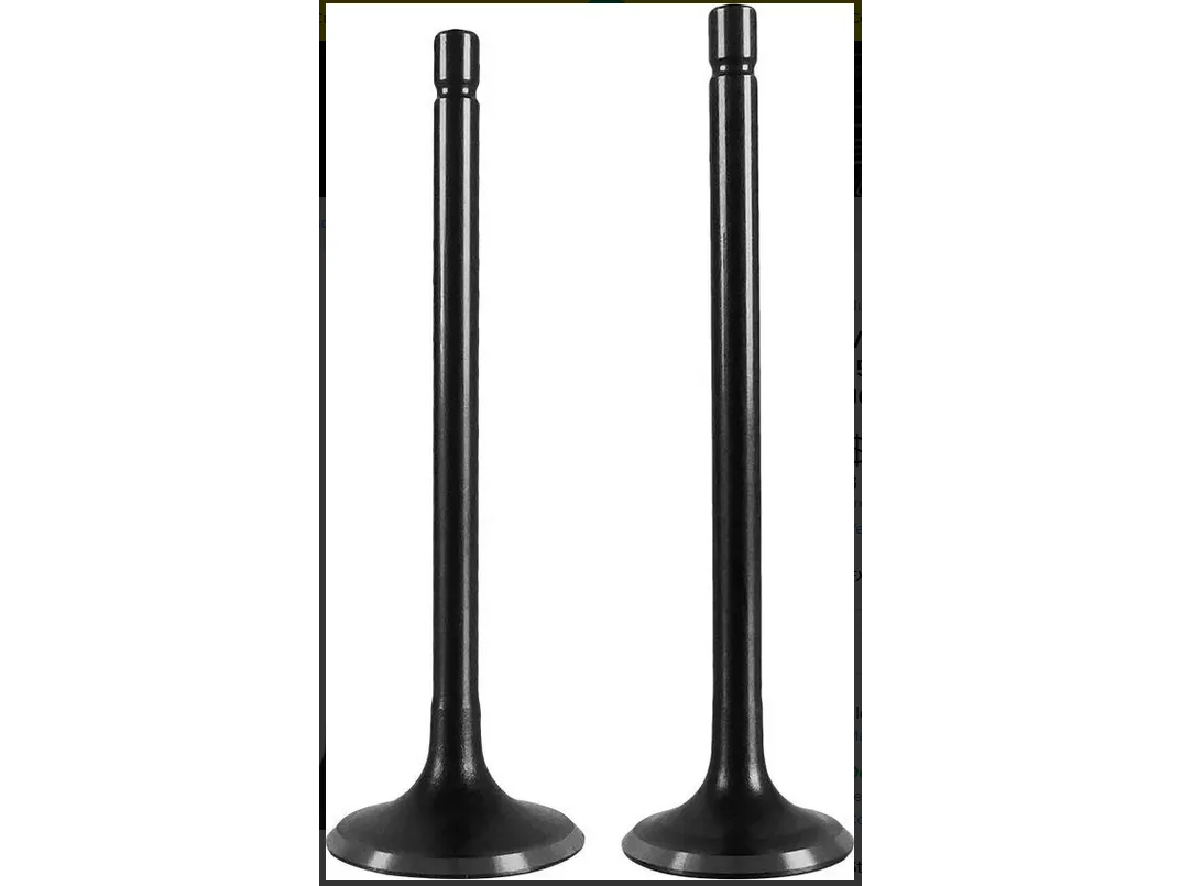 VALVULA BIZ C-100/ SMASH 110 JUEGO ADM/ESC (REPCOR BLACK)