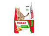 Voraz Gato Adulto