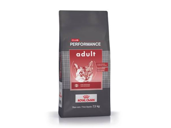 Performance Gato Adulto