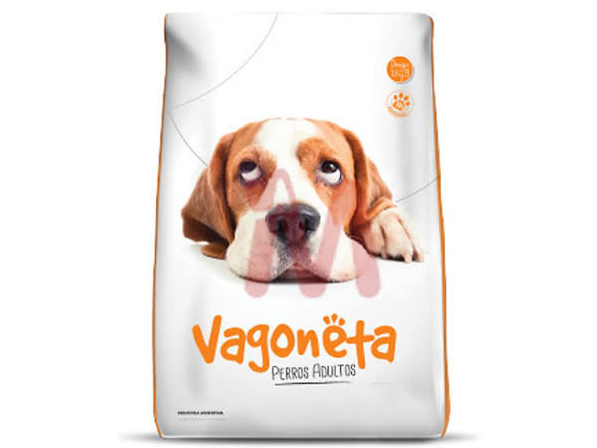 Vagoneta Adulto