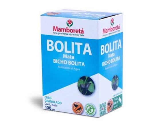 Bicho Bolita.