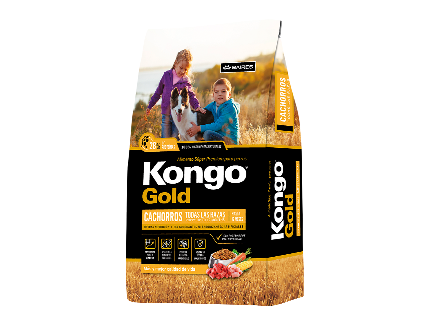 KONGO GOLD CACHORRO