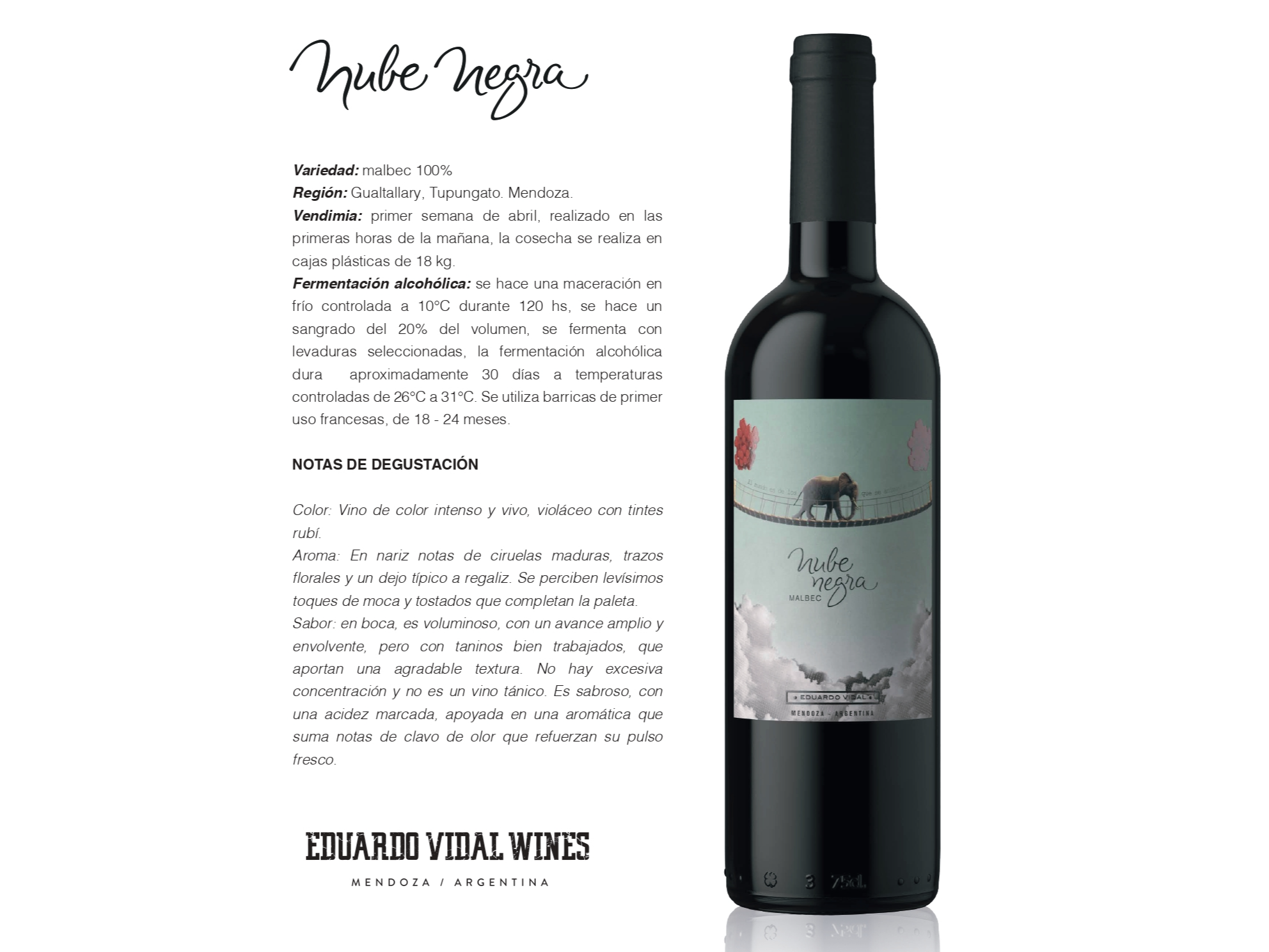 NUBE NEGRA MALBEC