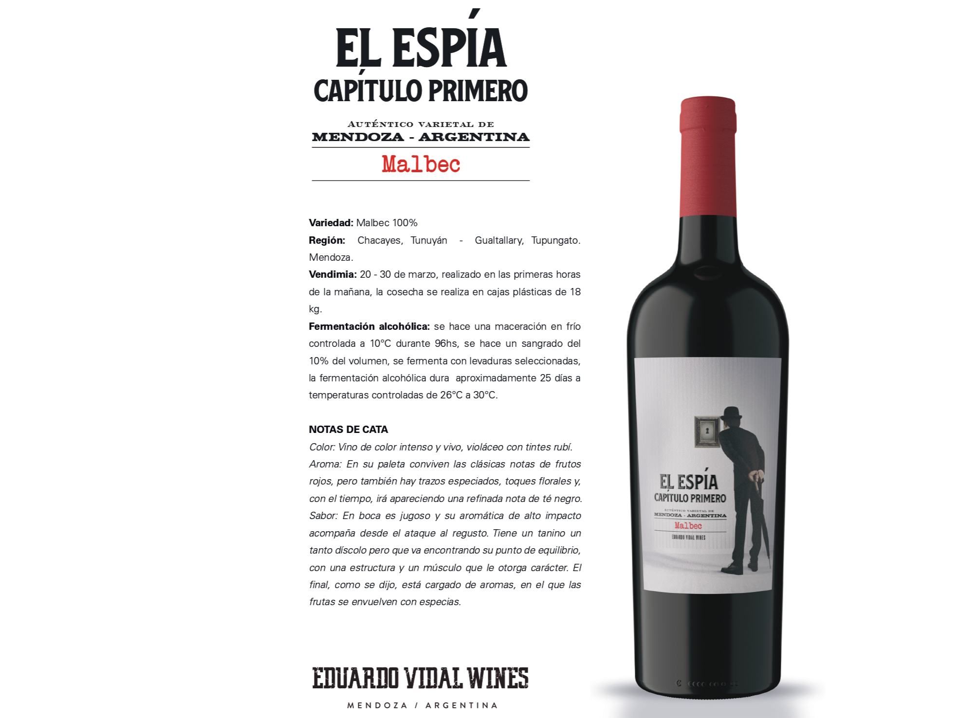 EL ESPÍA CAPÍTULO PRIMERO