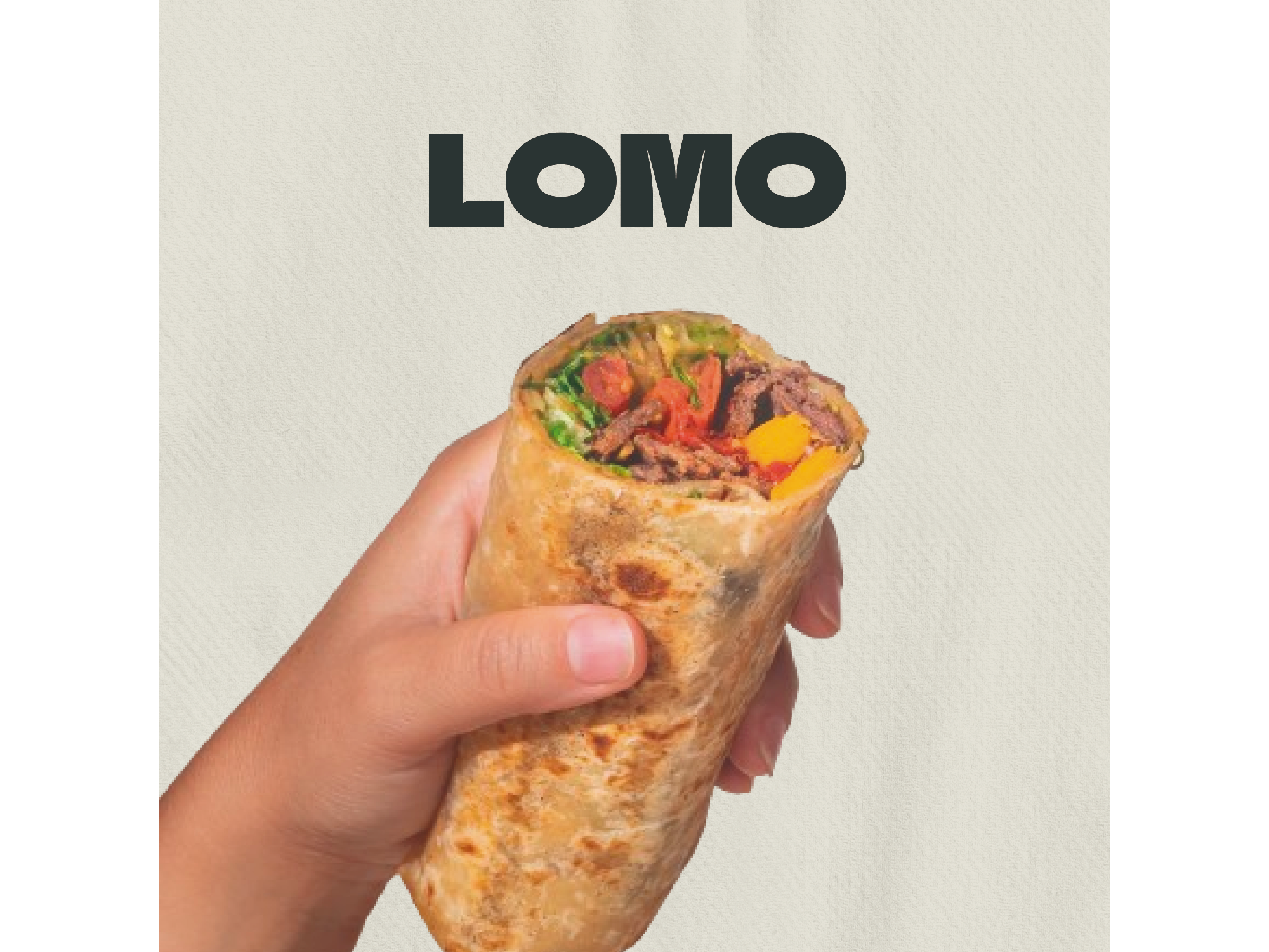 WRAP DE LOMO