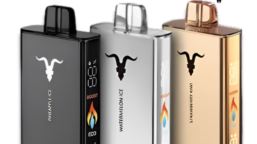 IGNITE V250 25000 PUFFS