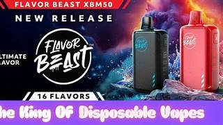 FLAVOR BEAST X 50.000 PUFF