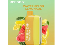 Watermelon lemonade