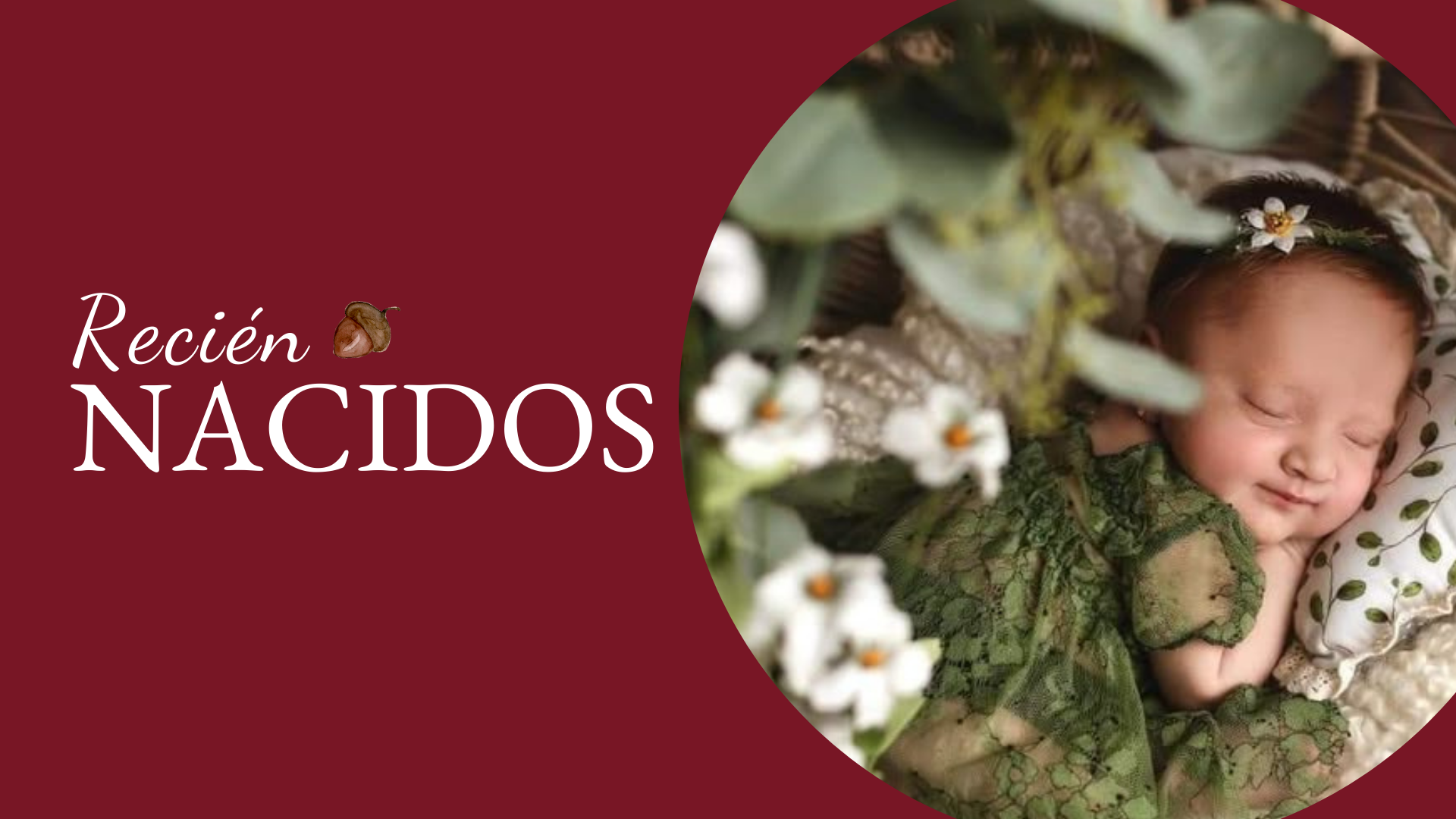 Recién Nacidos