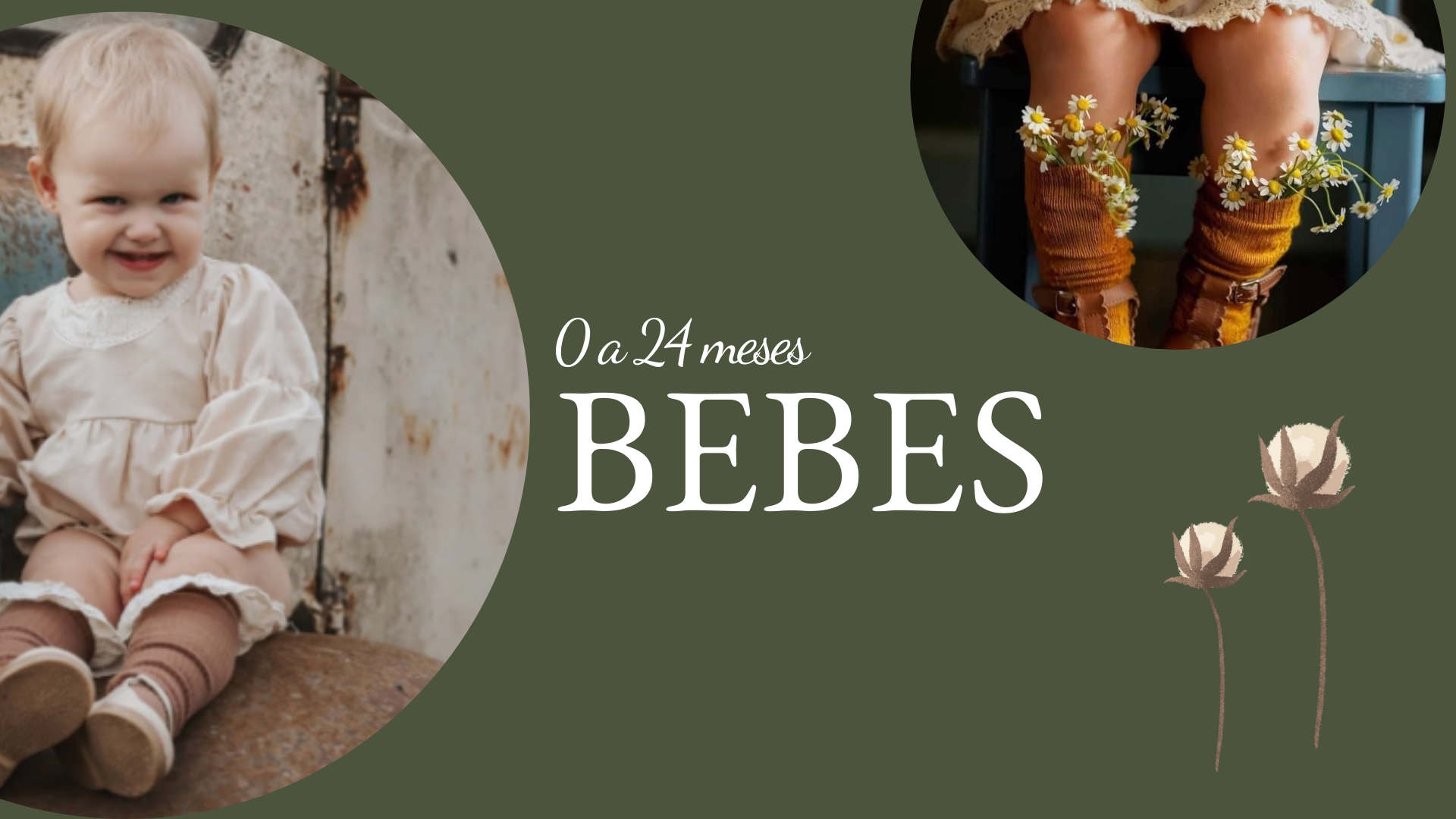 Bebes (0 a 24 meses)