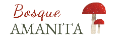 Logo BOSQUE AMANITA baby&kids