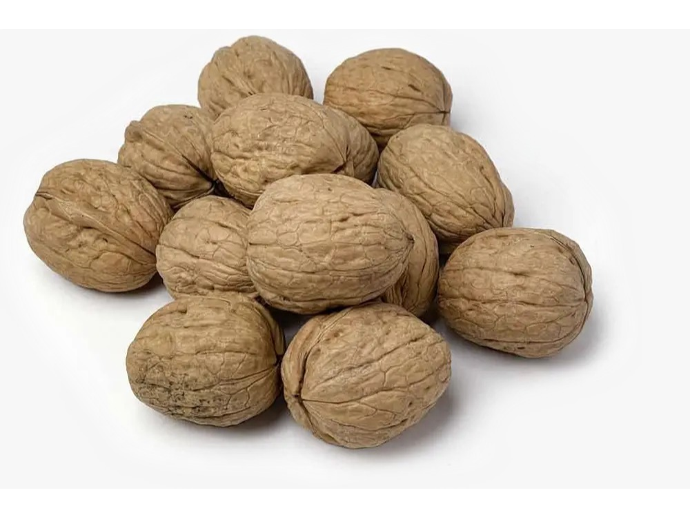 nueces chandler