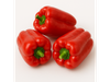 pimiento rojo