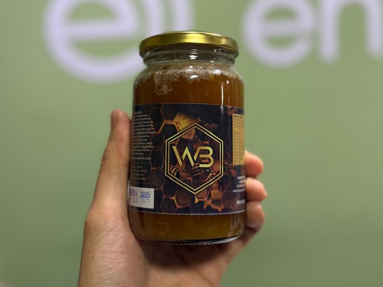 miel pura 500g