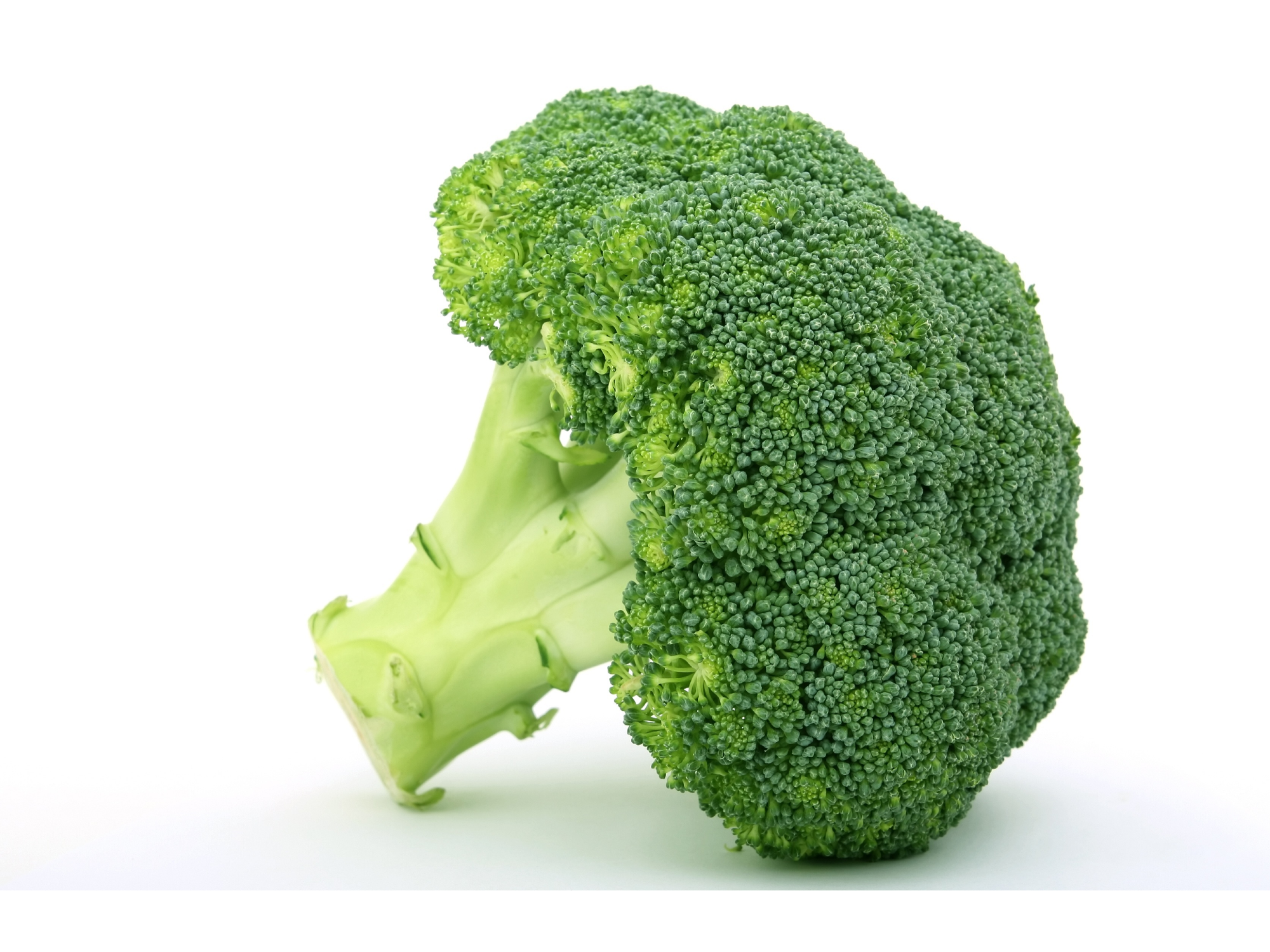 brócoli