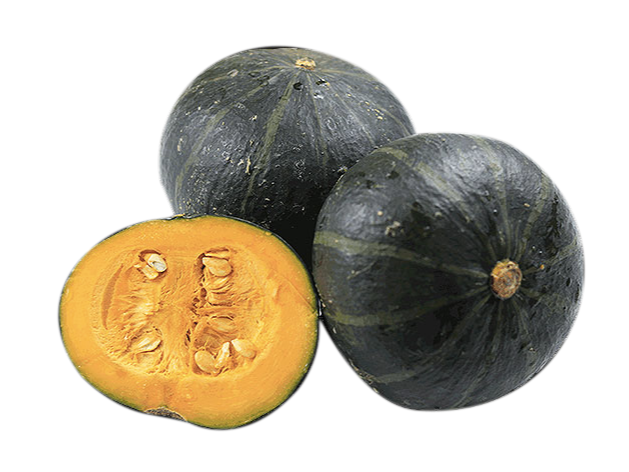 zapallo negro