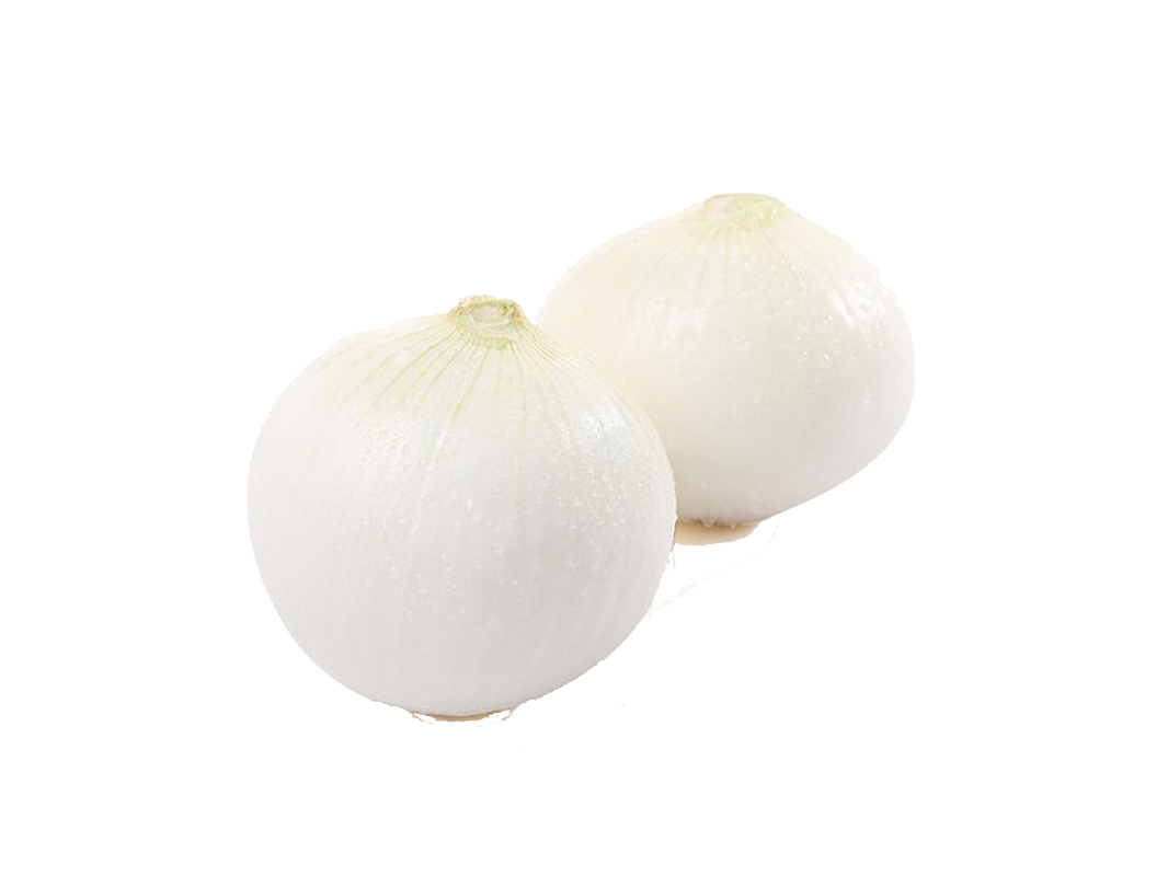 cebolla blanca