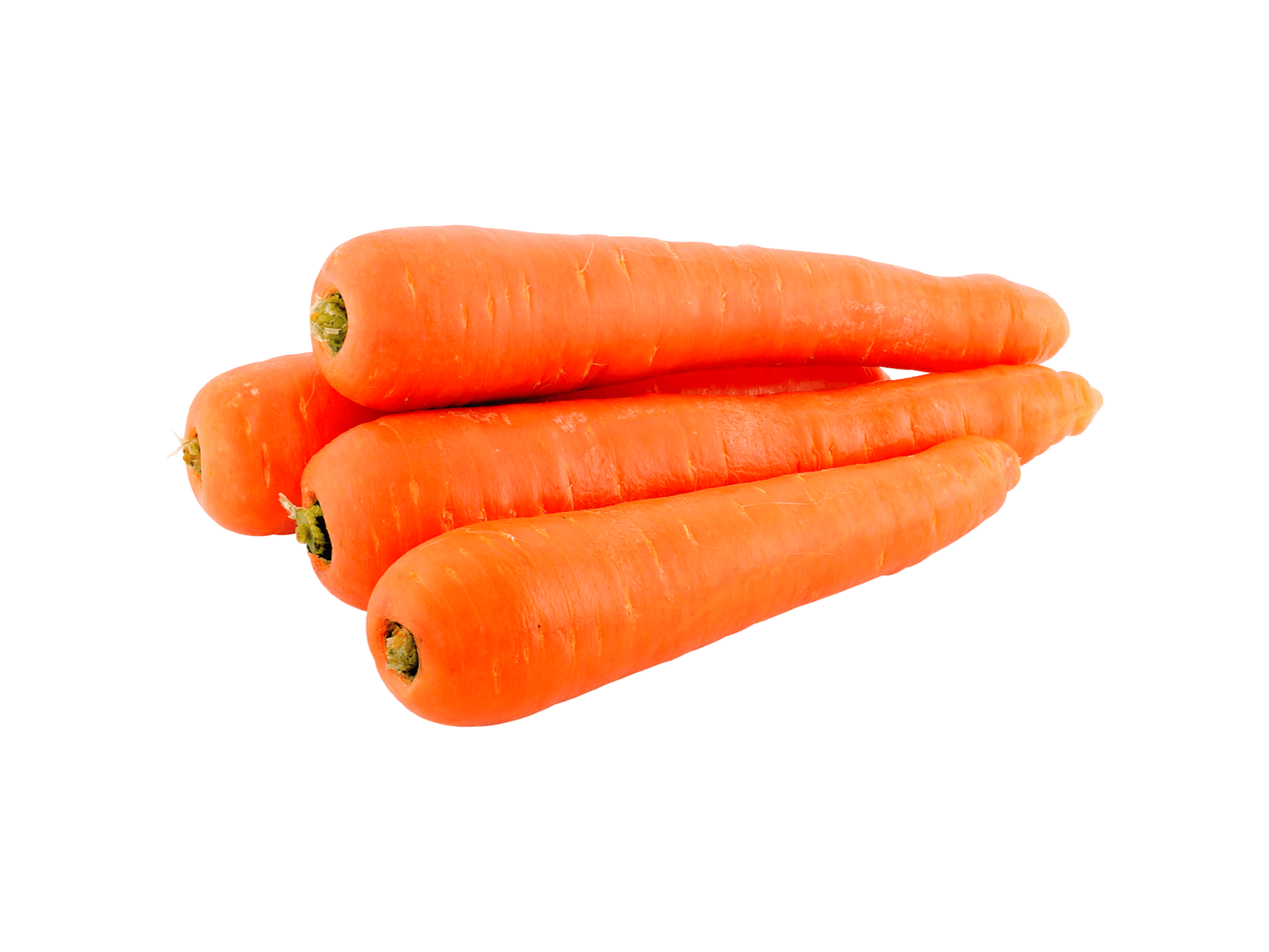 zanahoria