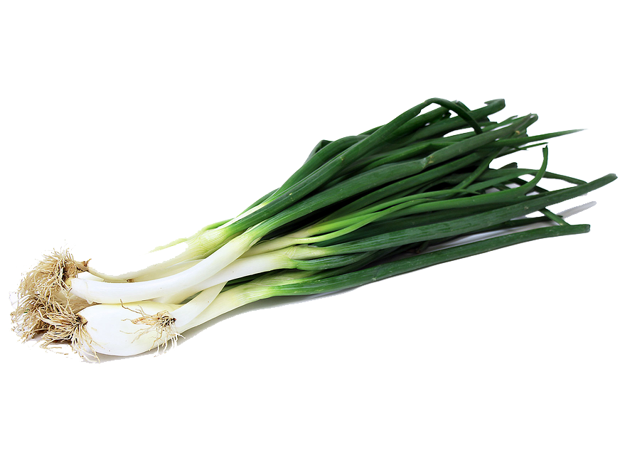 cebolla de verdeo