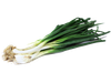 cebolla de verdeo
