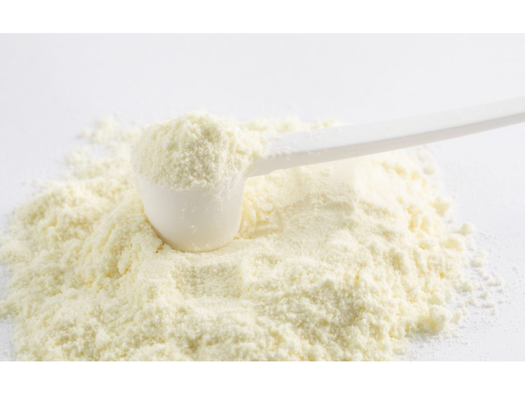 leche en polvo entera