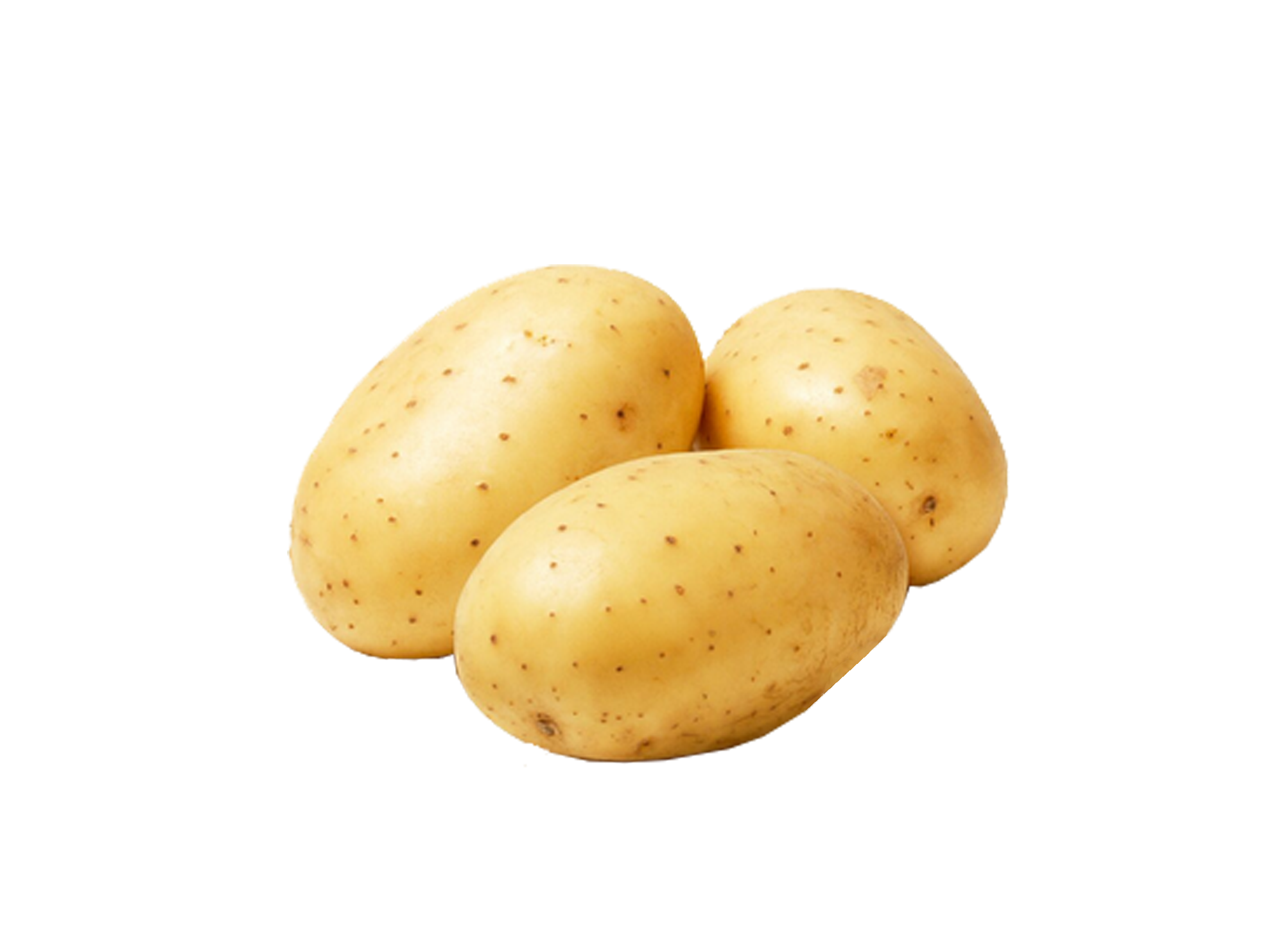 papa