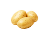 papa